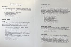 media report, pr campaign, rubber duck, rubba ducks